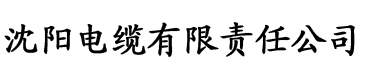 蕾丝阁影院电缆厂logo